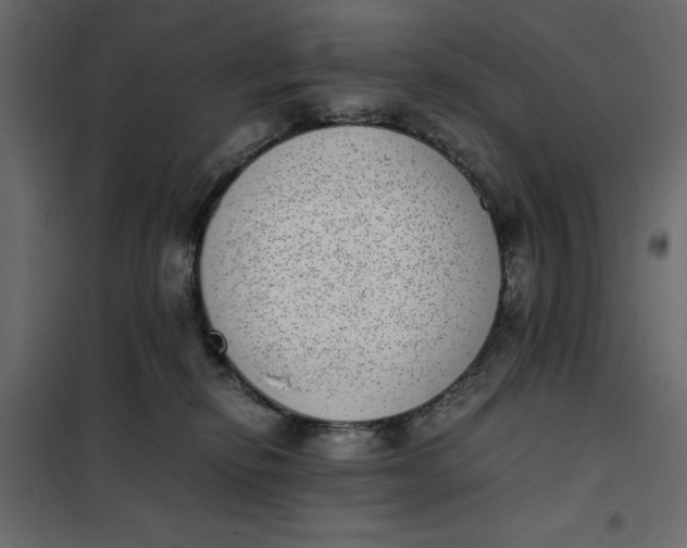 X0000101990278200808081643