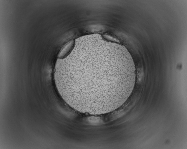 X0000101990279200808081643