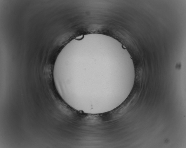 X0000101990280200808081643