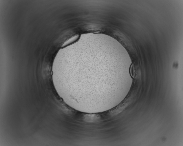 X0000101990281200808081643
