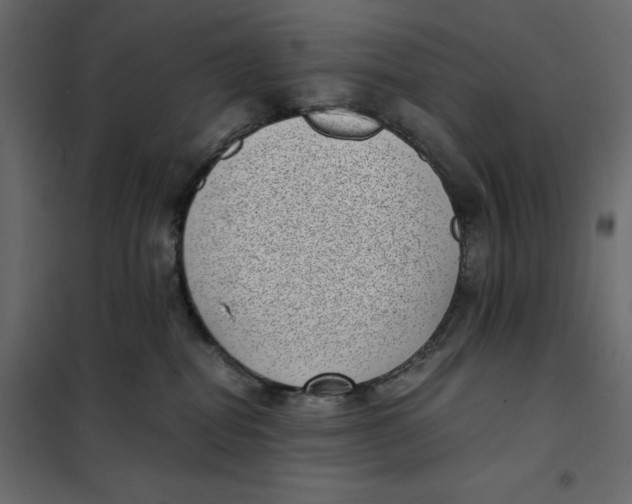 X0000101990282200808081643