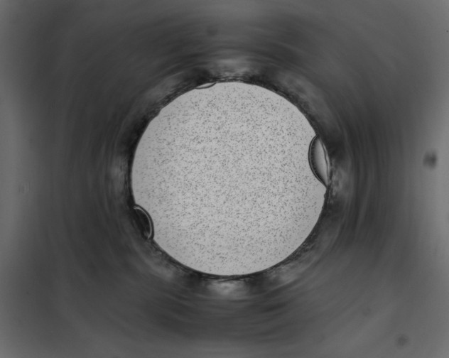 X0000101990283200808081643