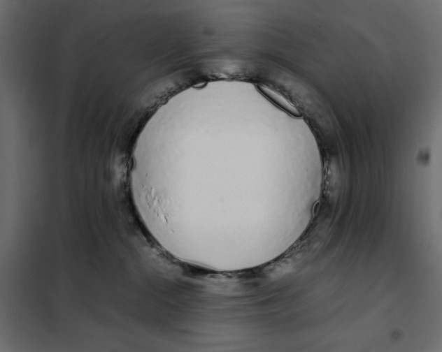 X0000101990284200808081643