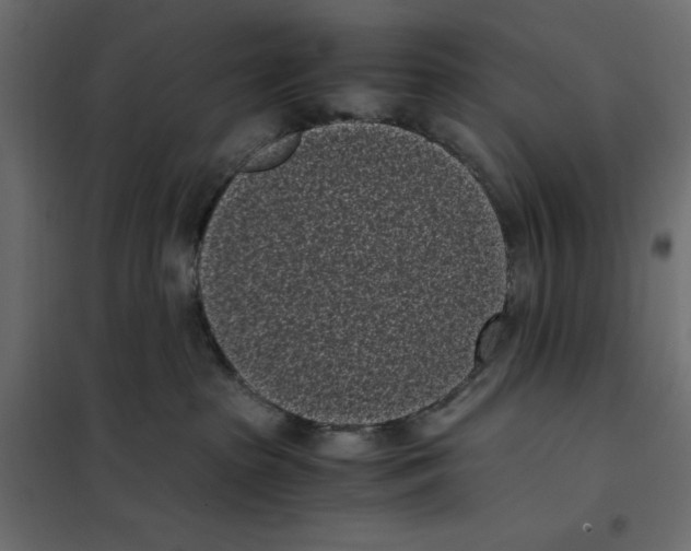 X0000101990285200808081643