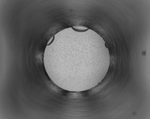 X0000101990286200808081643