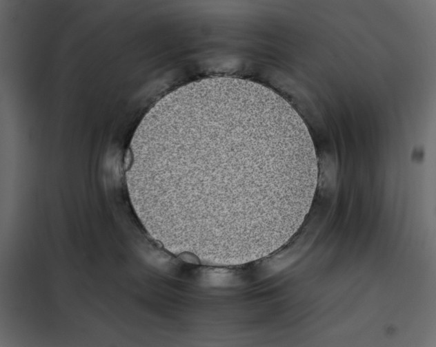 X0000101990287200808081643