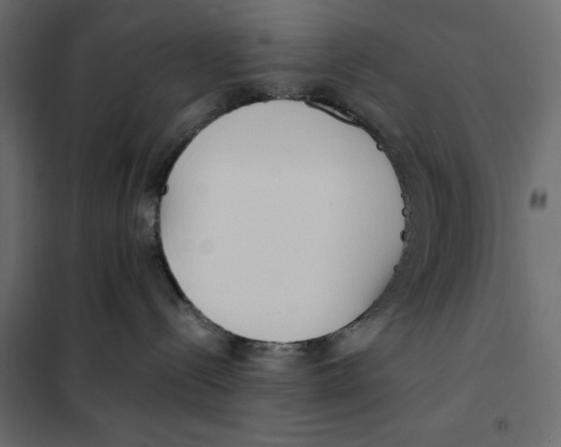 X0000101990288200808081643