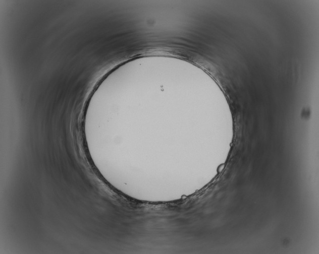 X0000101990289200808081643