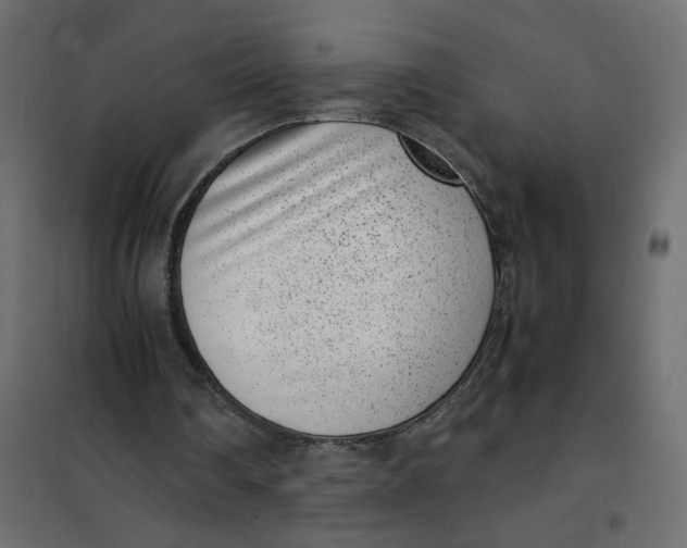 X0000101990290200808081643
