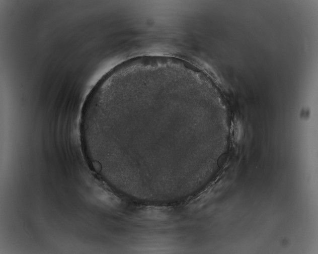 X0000101990292200808081643