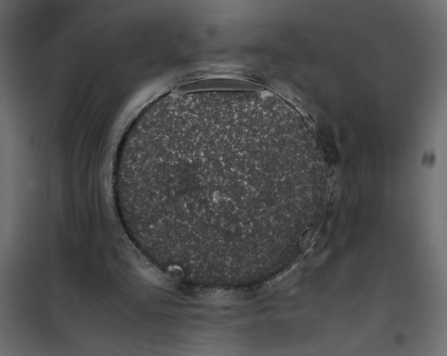 X0000101990293200808081643