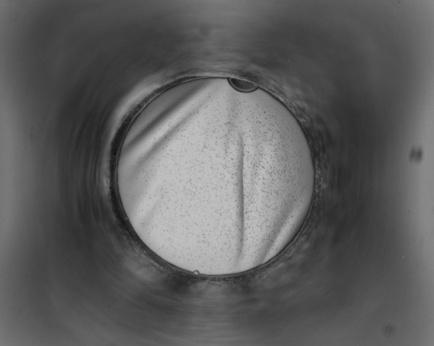 X0000101990294200808081643