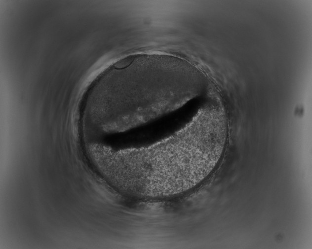 X0000101990295200808081643