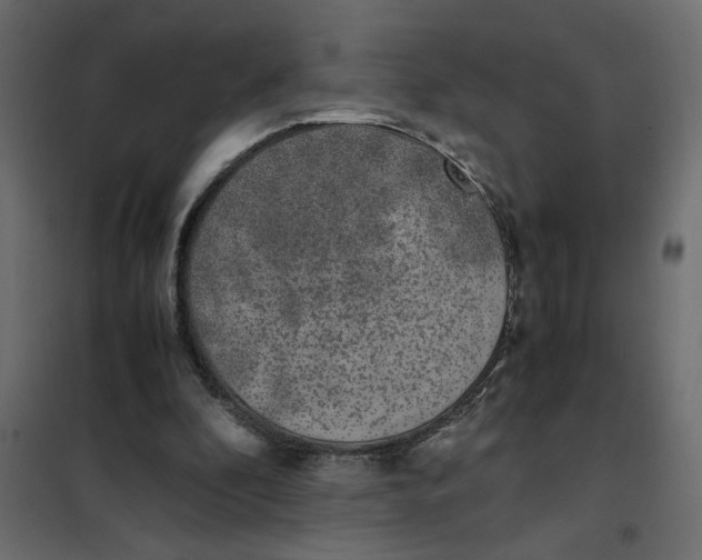 X0000101990296200808081642