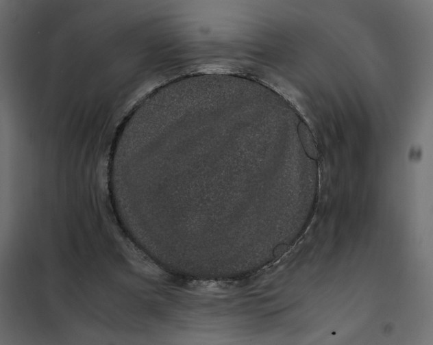 X0000101990297200808081642
