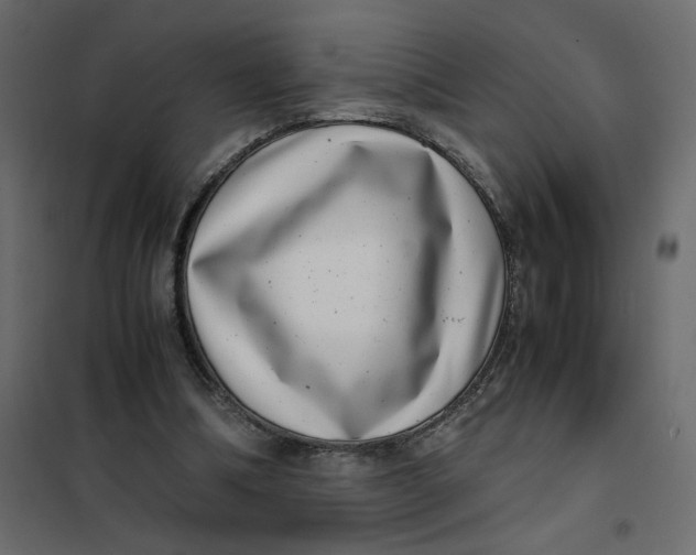 X0000101990298200808081642
