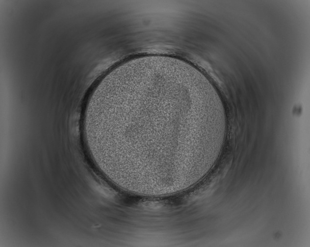 X0000101990299200808081642