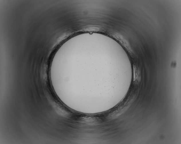 X0000101990300200808081642