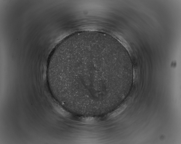 X0000101990301200808081642