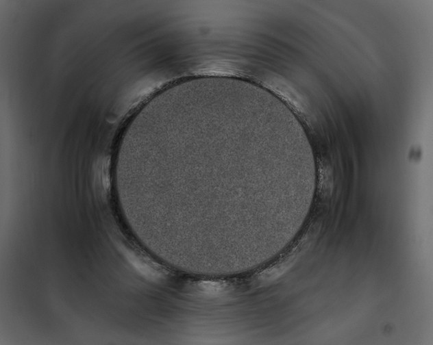 X0000101990302200808081642