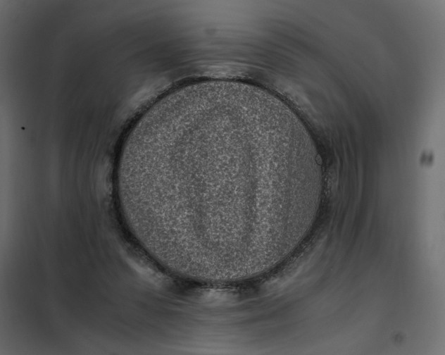 X0000101990303200808081642