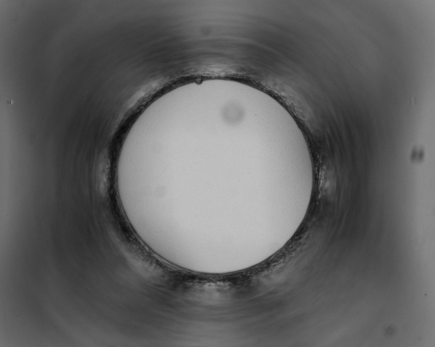 X0000101990304200808081642