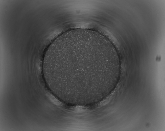 X0000101990305200808081642