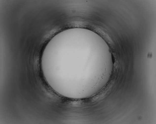 X0000101990306200808081642