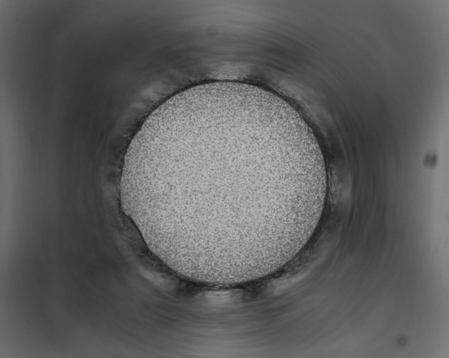 X0000101990307200808081642