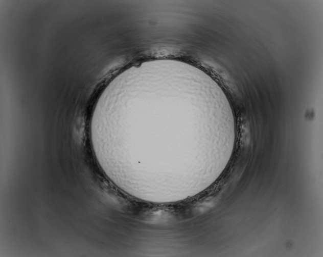 X0000101990308200808081642