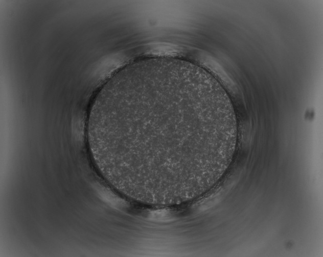 X0000101990309200808081642