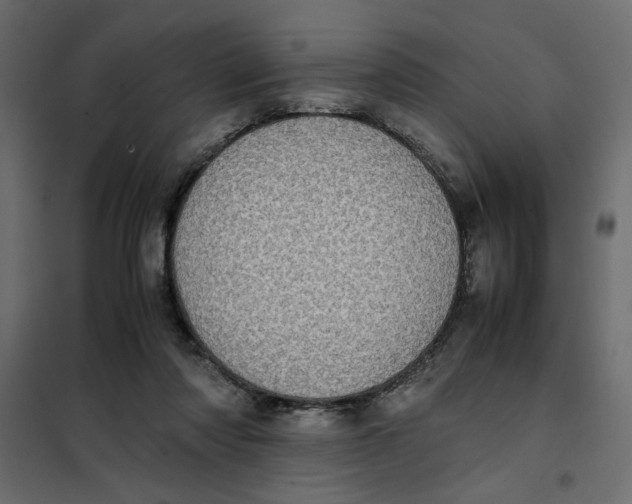 X0000101990310200808081642