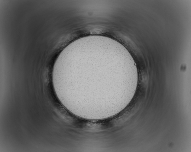 X0000101990311200808081642