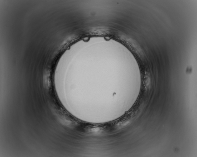 X0000101990312200808081642