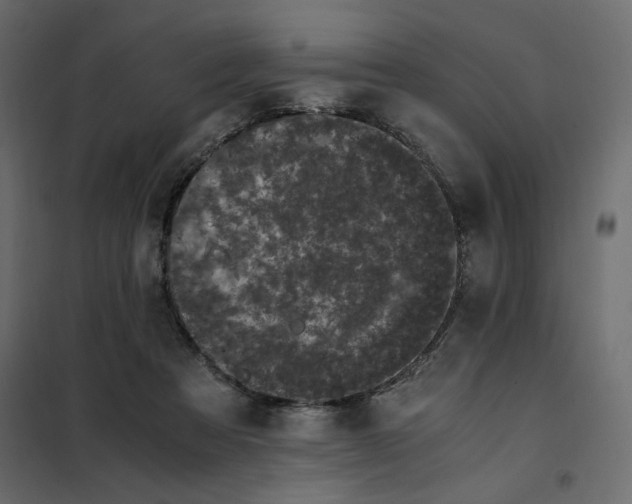 X0000101990313200808081642