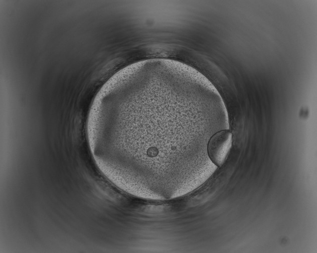 X0000101990314200808081642