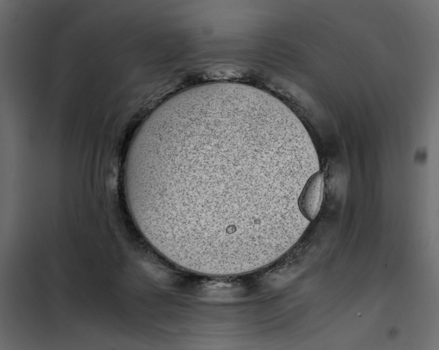 X0000101990315200808081642