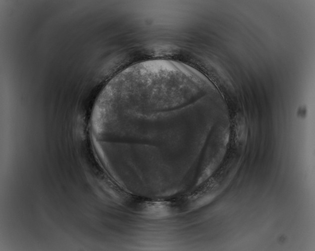X0000101990316200808081642