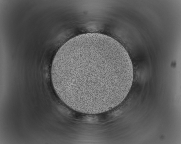 X0000101990317200808081642