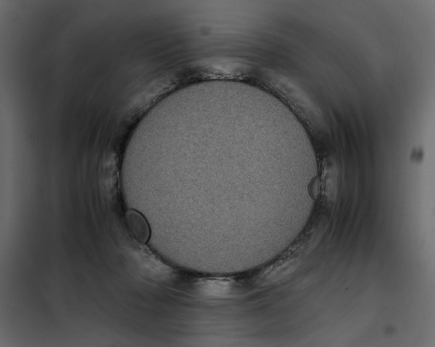 X0000101990318200808081642