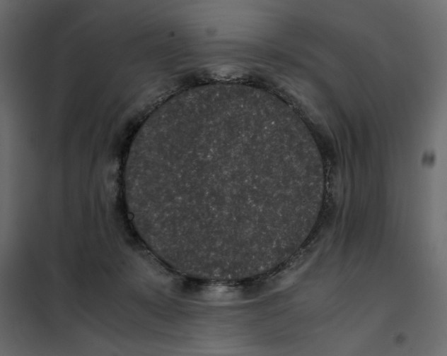 X0000101990319200808081642