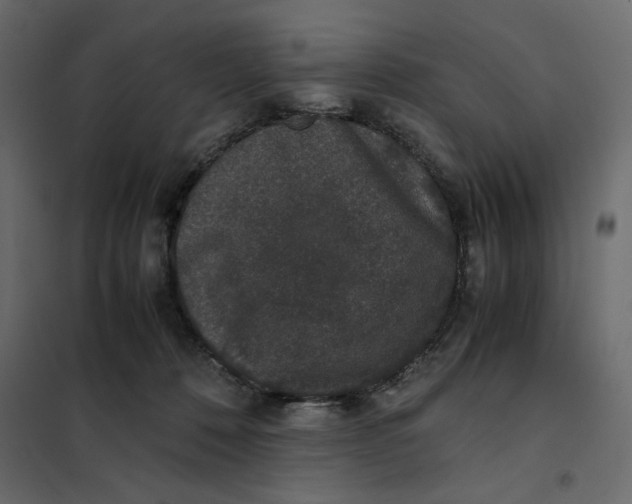 X0000101990320200808081642