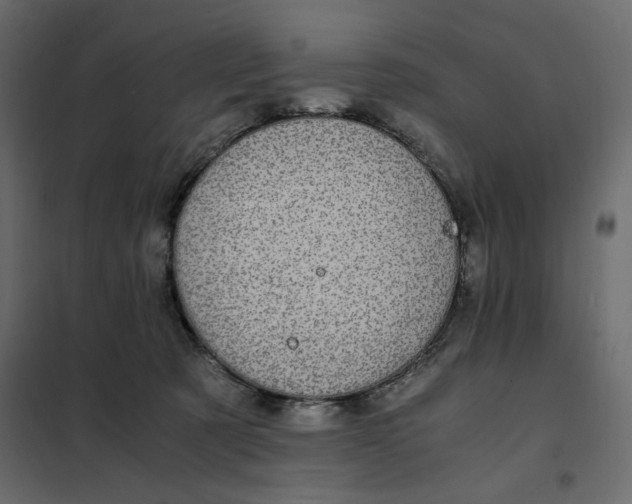 X0000101990321200808081642