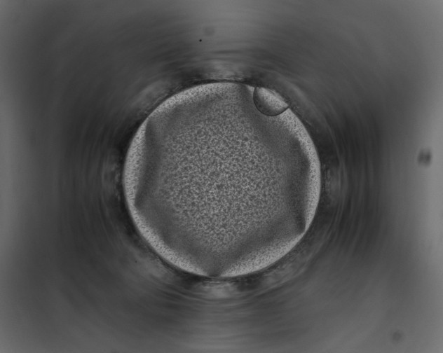 X0000101990322200808081642