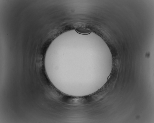 X0000101990323200808081642