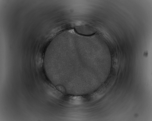 X0000101990324200808081642