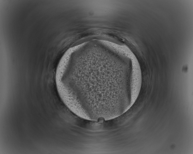 X0000101990325200808081642