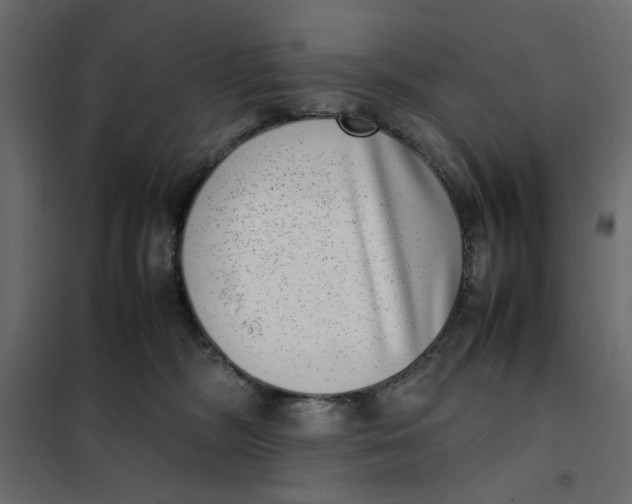 X0000101990326200808081642