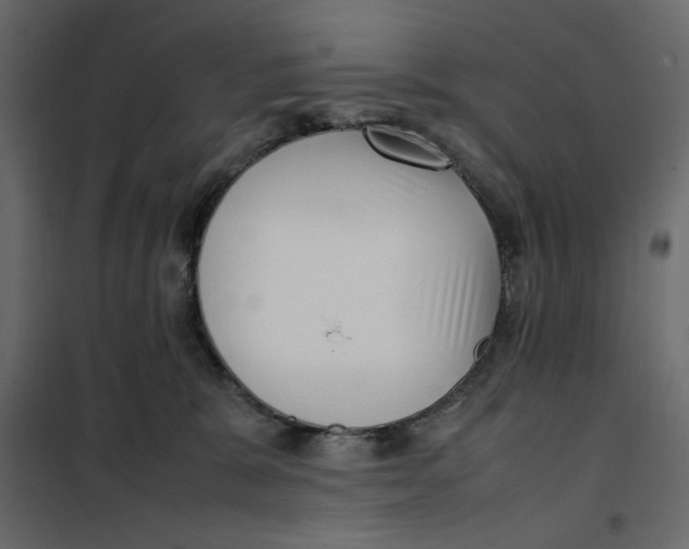 X0000101990327200808081642