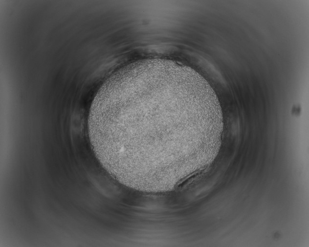 X0000101990328200808081642